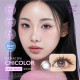KARACON CHICOLOR Fixed 1 Day - 暗夜紫 Lilac Night