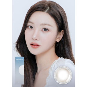 Lensme PANDEIA 1 Day Pandeia Gray