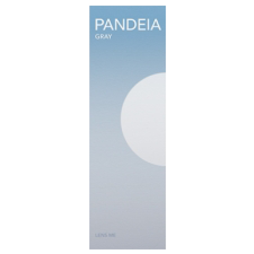 Lensme PANDEIA 1 Day Pandeia Gray