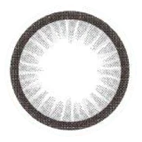 NEOiSM 1 Day Color Mini Chic Gray