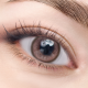 NEOiSM 1 Day Color Milk Brown