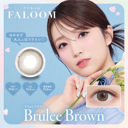 FALOOM 1 Day Brulee Brown