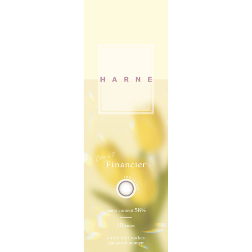 HARNE 1 Day Financier