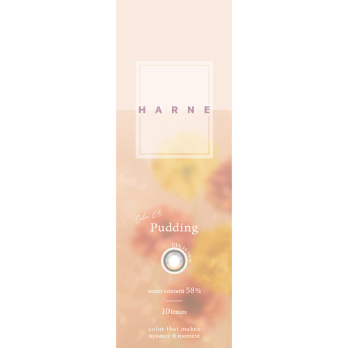 HARNE 1 Day Pudding