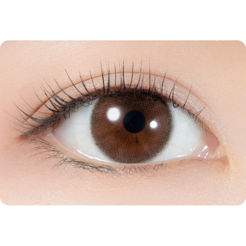 Lumie U 1 Day Toric Almond Brown