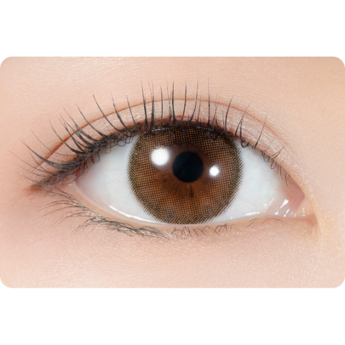 Lumie U 1 Day Toric Cinnamon Brown