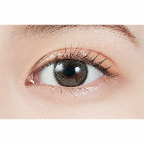 MOLAK 1 Day Toric Dazzle Gray