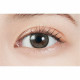 MOLAK 1 Day Toric Dazzle Gray