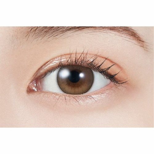 MOLAK 1 Day Toric Dollish Brown