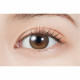 MOLAK 1 Day Toric Dollish Brown