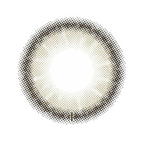 MOLAK 1 Day Toric Dazzle Gray