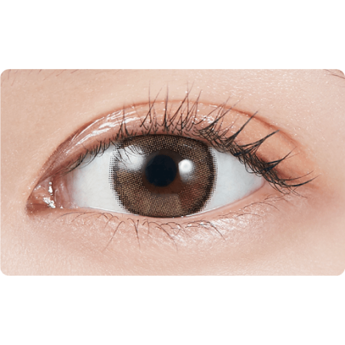 MOLAK 1 Day Dazzle Beige
