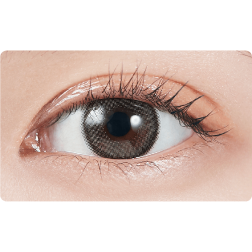 MOLAK 1 Day Dazzle Gray
