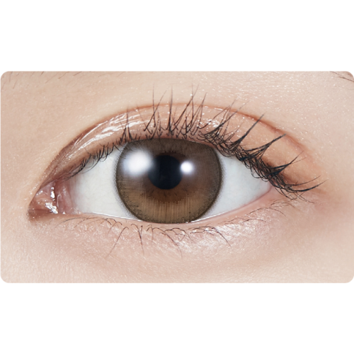 MOLAK 1 Day Dollish Brown