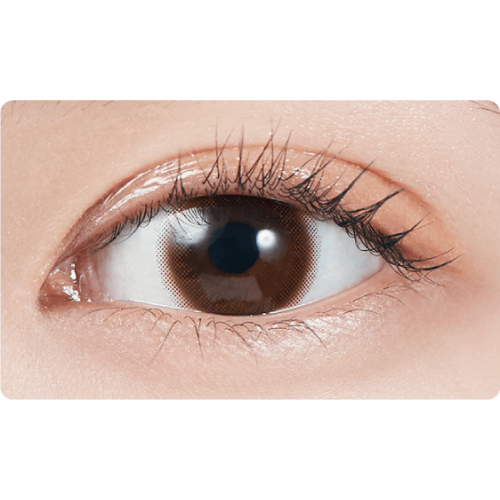 MOLAK 1 Day Tint Brown