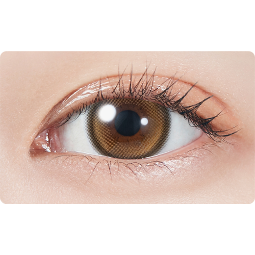 MOLAK 1 Day Twinkle Brown