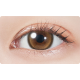 MOLAK 1 Day Twinkle Brown