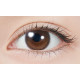 TOPARDS 1 Day Glow Brown