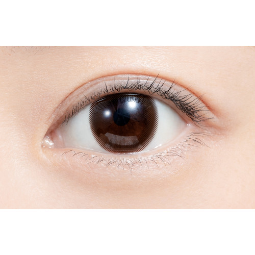 feliamo 1 Day Sheer Brown