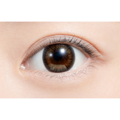 feliamo 1 Day Tulle Brown