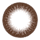 feliamo 1 Day Shiny Brown