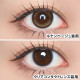 1 Day Refrear Unrolla - Lunan Beige