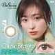 Belleme Olive Brown 1 Day by Eye Coffret (30p)