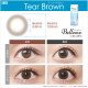 Belleme Tear Brown 1 Day by Eye Coffret (30p)