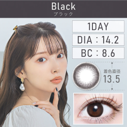 TeAmo 1 Day Black