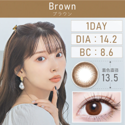 TeAmo 1 Day Brown