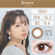 TeAmo 1 Day Brown