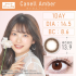 TeAmo 1 Day Canell Amber