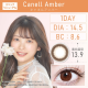 TeAmo 1 Day Canell Amber