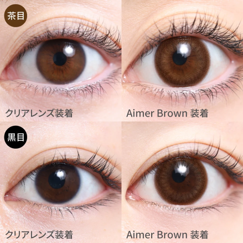 TeAmo 1 Day Aimer Brown