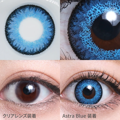 TeAmo 1 Day Astra Blue