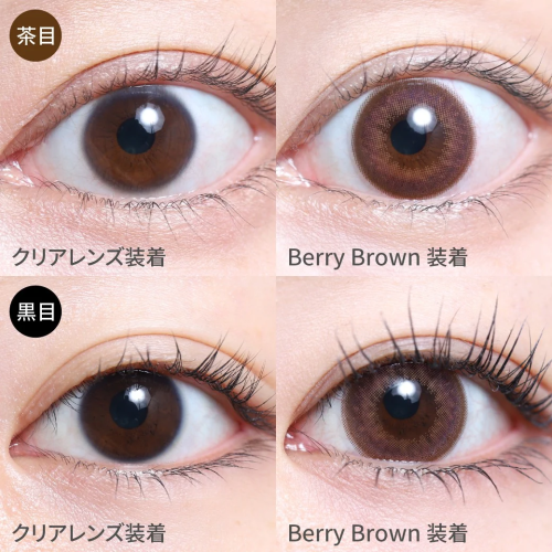 TeAmo 1 Day Berry Brown