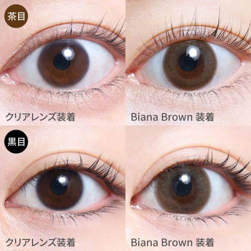 TeAmo 1 Day Biana Brown