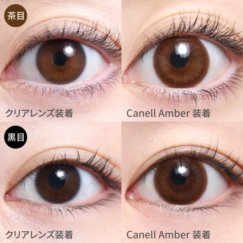TeAmo 1 Day Canell Amber