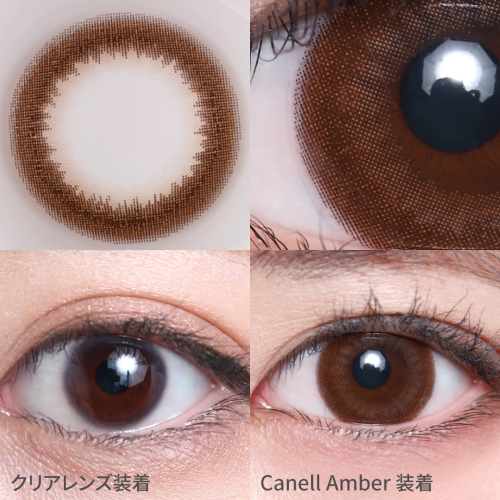 TeAmo 1 Day Canell Amber