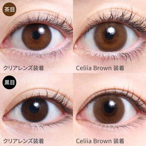TeAmo 1 Day Celiia Brown