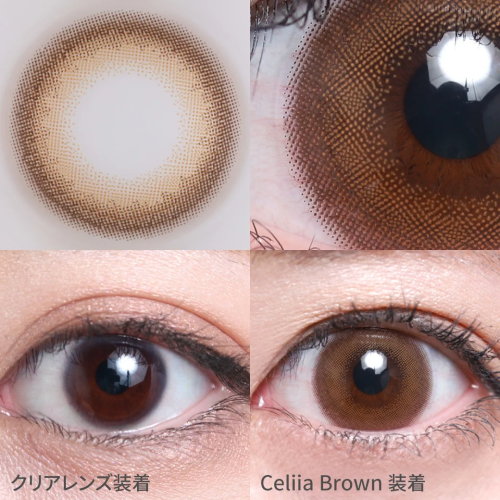 TeAmo 1 Day Celiia Brown