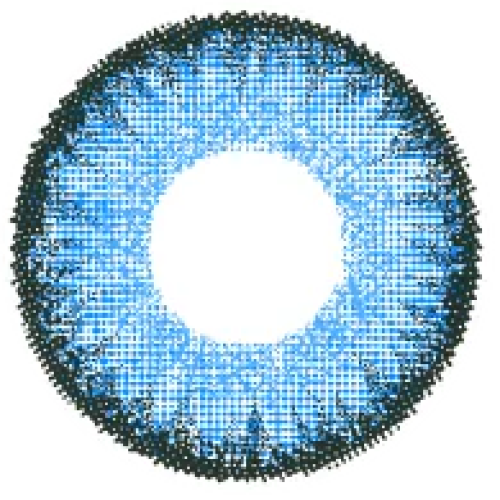 TeAmo 1 Day Astra Blue