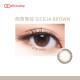 Ticon 帝康 MUSE 繆思女神彩色日拋隱形眼鏡 1 Day Color 西西里棕 SICILIA BROWN