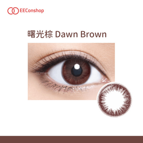 Ticon 帝康 光漾瞬間彩色日拋隱形眼鏡 1 Day Color DAWN BROWN 曙光棕