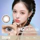 CRUUM #145 Macadamia (1 Day / 10片)