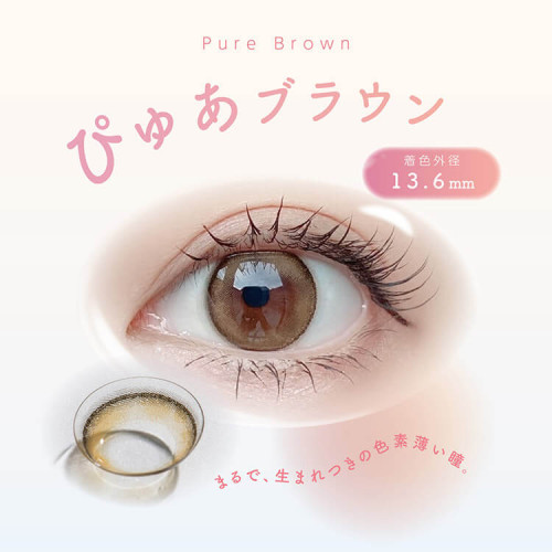 en Giorno 1 Month Pure Brown
