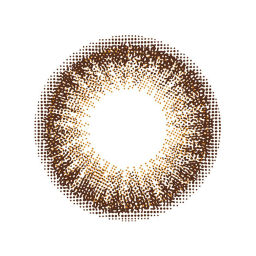 Flanmy 1 Day Choco Tart