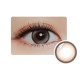 Eye Secret 1 Day Color Glazed Gray