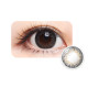 Kukka 1 Day Color Narcissus Gray