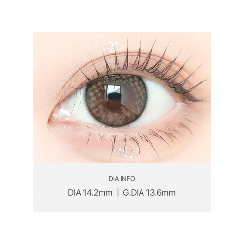 LensVery ShuShu 1 Day - Brown 舒舒啡